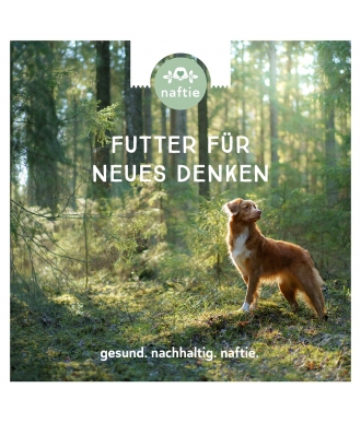 naftie Vision Futter für neues Denken